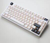 NEW Keydous NJ81 คีย์บอร์ดสุดคุ้มค่า เพิ่มจอ TFT/Brass Plate/Hot swap/RGB/Bluetooth5.0/ Wireless 2.4G / keycap PBT