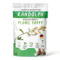 ❗️❗️ SALE ❗️❗️ 0Randolph HERBAL TX Plume Poppy 30g.​ ป็อปปี้ ขนมเชิงสุขภาพ !! อาหารเสริม และวิตามิน Supplements &amp; Vitamins บริการเก็บเงินปลายทาง โปรโมชั่นสุดคุ้ม โค้งสุดท้าย คุณภาพดี โปรดอ่านรายละเอียดก่อนสั่ง