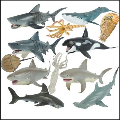 แม่พิมพ์รูปสัตว์ทะเลที่เป็นของแข็งโต๊ะเล่นทรายโลกใต้น้ำฉลามขาว Megalodon สิ่งมีชีวิตโบราณเครื่องประดับของเล่นสำหรับเด็ก