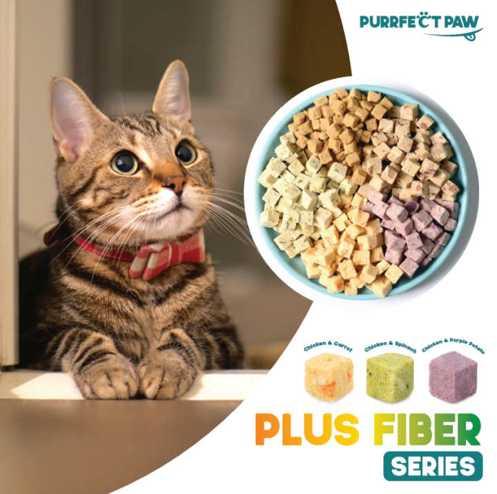 ขนมแมว-อกไก่ผสมแครอทฟรีซดราย-100-purrfect-paw-ขนมแมวฟรีซดราย-ดีต่อสุขภาพ-บำรุงขน-ไม่เค็ม