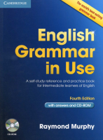 E-Book | English Grammar in Use (No CD) (PDF file)