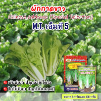 เมล็ดผักกาดขาว พันธุ์เบา เอ็มทีM.T.5 ขนาด100กรัมและ5กรัม ตราภูเขาทอง เมล็ดพันธุ์ผักกาดขาว เมล็ดพันธุ์ผัก ผักกาดขาวเบา  ผักกาดขาว