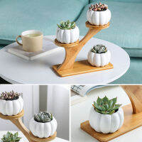 3 Tier Pumpkin Succulent Pots Desk Garden Decoration Modern Bamboo Stand Set Home Wear Resistant Indoor With Drainage Planter