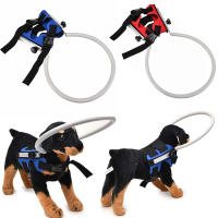 Blind Dog Harness Vest Dogs ป้องกันแหวนป้องกันการชนกันสําหรับการฝึกสุนัข