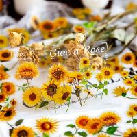 MOHAMM 100pcs Plant Flower Rose Sunflower PET Stickers Decorative Stickers for Collage Scrapbooking DIY Journaling Gift Stickers Stickers Labels