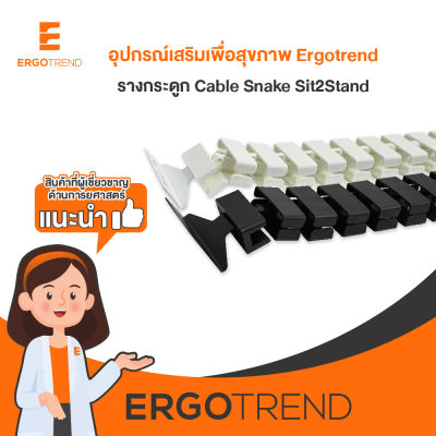 Ergotrend รางกระดูก Cable Snake Sit2Stand
