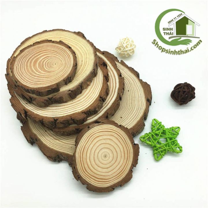 HCM]Miếng gỗ tròn - khoanh gỗ tròn trang trí - gỗ thông tự nhiên ...