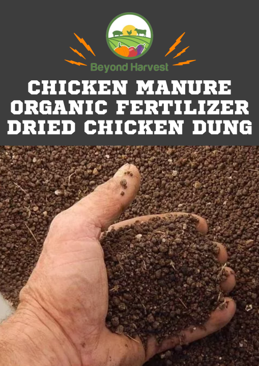 CHICKEN MANURE 100 ORGANIC FERTILIZER DRIED CHICKEN DUNG 5KG Lazada PH