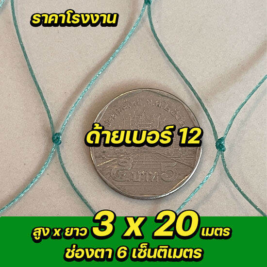 อวนล้อมไก่-ด้ายเบอร์-12-ช่องตา-6-เซ็นติเมตร-กว้างxยาว-3x20เมตร