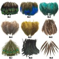 Guinea fowl Dot Feather   Dyed Chicken Pheasant Feathers for Crafts Plume Decoration Diy Accessories