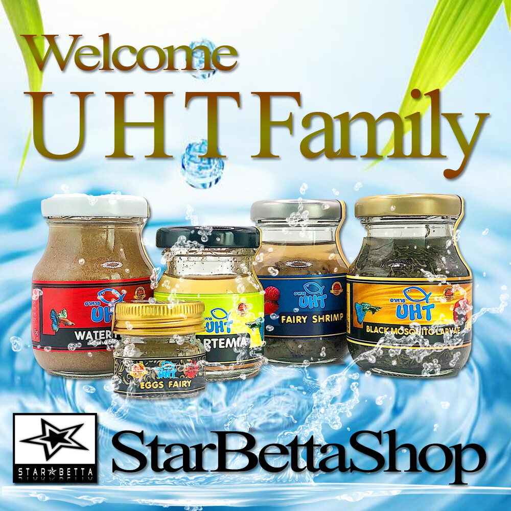 ฟรีช้อนตัก