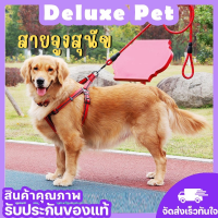 ⚡️Deluxe⚡️สายจูงสัตว์เลี้ยง สายจูงสุนัข สายจูงรัดอก หลายสี หลายไซส์ ราคาประหยัด สายจูงแมวรัดอก สายจูง+สายรัดอก ราคาถูกๆ? พร้อมส่ง ?