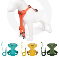 Pet Harness Vest with Leash Rope Reflective Breathable Pet Dog Harness Soft Puppy Collar for Small Medium Dogs Outdoor Walking Leashes