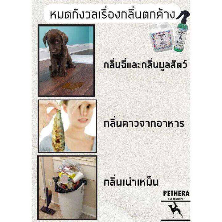 ส่งฟรี-สเปรย์ฆ่าเชื้อแบคทีเรีย-สเปรย์ดับกลิ่นฉี่-ปรับอากาศ-ดับกลิ่นฆ่าเชื้อบนพื้นผิว-ทรายแมวโซฟา-กรงสัตว์เลี้ยง-320-1000-มล