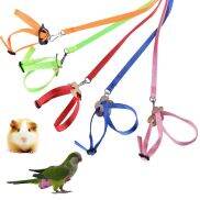 CABINSHOP Mềm Chống cắn Rùa Dây tập luyện Chuột Hamster Vẹt Đai Cổ Chim
