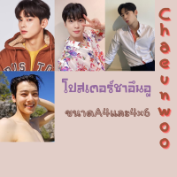 โปสเตอร์ชาอึนอู 4x6