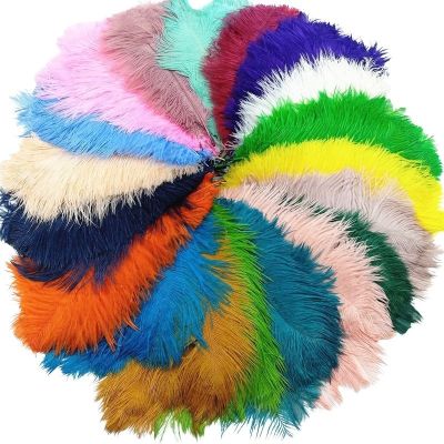 10pcs/lot Colorful Ostrich Feathers for Vase DIYDream Catcher Decor Plume Crafts Hair Wedding Centerpiece Needlework Accessories