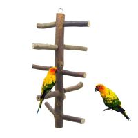 Wooden Bird Perch Parrot Toys Stand Ladder Hamster Cage Climbing Grinding Bird Toy Spiral Leather Log Ladder Stair Standing Bar