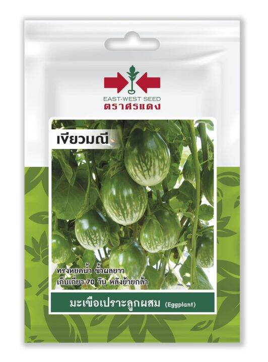 เมล็ดพันธุ์ผัก-เมล็ดมะเขือเปราะ-เขียวมณี-eggplant-seed-บรรจุ-50-เมล็ด-ซอง-ขนาด-10-บาท-ตรา-ศรแดง