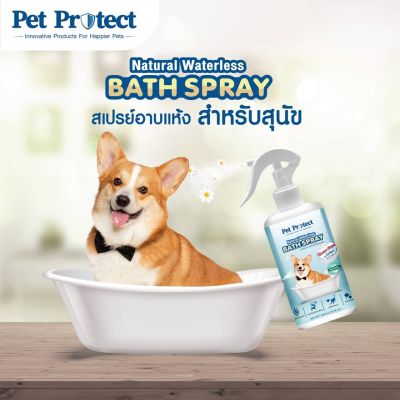 สเปรย์อาบน้ำแห้ง (สุนัข) 🐶🐱🐰Natural Waterless Bath Spray  Pet protect