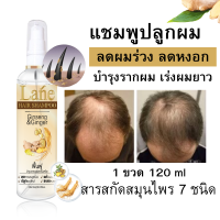 Lane แชมพูปลูกผม  แชมพูสมุนไพร แชมพูหงอก แชมพูสระผมเร่งผมยาว แชมพูขิง anti hair fall  ขนาด120 ml 1ขวด