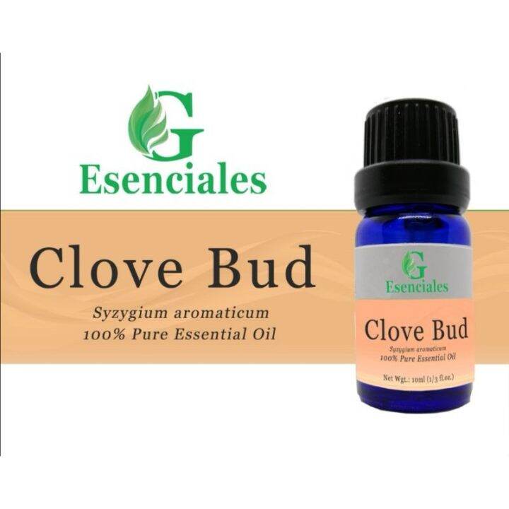 Clove Essential Oil Lazada PH