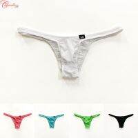 CAMILLES - -Briefs Mesh Panties Plus Size Pouch Sheer Stretch Transparent Underpants-【Mens-fashion】