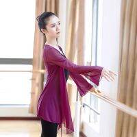 เสื้อตาข่ายสุดสวยสำหรับผู้หญิง,เสื้อตาข่ายสุดสวยทันสมัยเสื้อผ้าใยห้องบอลรูมละตินผ้าบางเสื้อผ้าบัลเล่ต์เต้นรำเสื้อวอร์ม