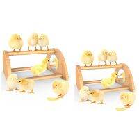 Mini Chick Perch with Mirror, Strong Bamboo Roosting Bar for Coop and Brooder, Training Perch for Baby Chicks