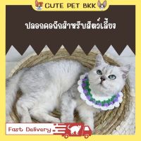 ?Cute Pet BKK? ปลอกคอแมวไหมพรม ปลอกคอแมวโครเชต์ ปลอกคอแมว ปลอกคอหมา ปลอกคอสัตว์เลี้ยง ปลอกคอน่ารัก มี3ไซส์ ราคาถูก พร้อมส่ง