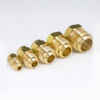 45 Degree SAE 1/4 3/8 1/2 3/4 Flare Turn To End Feed Tube Coupling Brass Pipe Fitting Adapeter Water Gas Air Fuel