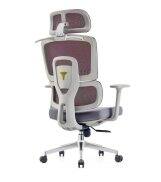 Ghế làm việc công thái học Ergonomics ngả lưng thư giãn AMA-886-M