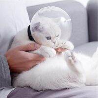 ✗✁♈ hood anti-bite cat space bath nails fight anti-scratch anti-licking pet