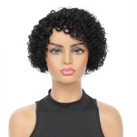 Short Kinky Curly Human Hair Wig Afro Short Wigs Pixie Cut Wig Human Hair No Lace Front Natural Brazilian Hair Wigs For Women