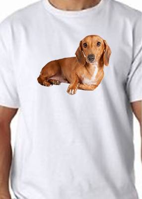 Dachshund Sausage Dog T Shirt Dogs Canine Animal Pets Print T-Shirt Men Short Sleeve O-Neck Cotton Tees Tops Streetwear