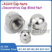 M3 M4 M5 M6 M8 M10 M12 Acorn Cap Nuts A2 304 Stainless Steel Decorative Cap Blind Nut Caps Covers