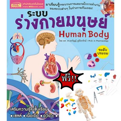 หนังสือ ระบบร่างกายมนุษย์ Human Body ระดับประถม ฟรี โมเดลร่างกายมนุษย์+การ์ด