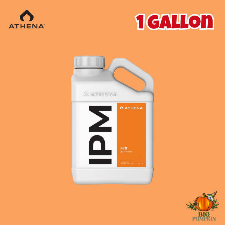 ส่งฟรี-ipm-สารสกัดจากธรรมชาติ-ฆ่าเพลี้ย-เพลี้ยแป้ง-ไรแดง-ไรอ่อน-แมลงหวี่ขาว