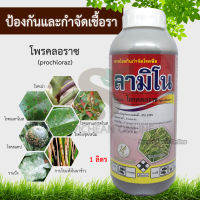 โพรคลอราซ (prochloraz) 1L : ลามิโน โพรคลอราช ป้องกันและกำจัดโรคพืช กำจัดเชื้อรา โรคแอนแทรคโนส โรคสแคป ก้านช่อดำ กุ้งแห้งพริก