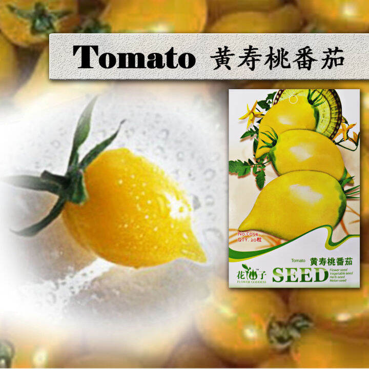 【EXPIRED】BIJI BENIH C054 TOMATO GODDESS VEGETABLE FLOWER FRUIT HERB