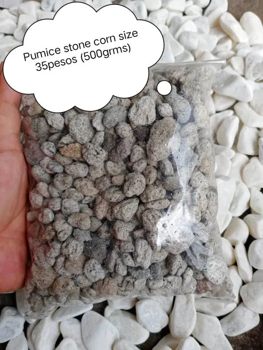 pumice stone corn size Lazada PH