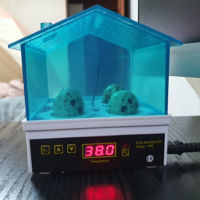 2021Mini Semi Automatic Duck Goose Incubator with LED Light Poultry Chicken Bird Hatcher Tool Digital Temperature Brooder Incubator