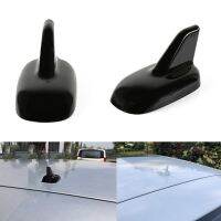 【cw】 Accessory Car Trim Radio AM/FM Antenna for RV ！