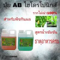 ปุ๋ย ABไฮโดโปรนิกส์ สูตรน้ำเข้มข้น สำหรับเมล่อน หรือพืชกินผล แตงโม แตงกวา ชนิดนํ้า ขนาด1000 ml A 1ลิตร B 1ลิตร