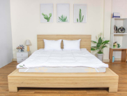 Topper tấm trải nệm TATANA Standard-Êm ái-Mềm mại.