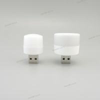 Mini 2 USB DC port Plug Lamp LED Night Light 5V 1W Super Bright Eye Protection Book reading for Computer Mobile Power Charging WB5TH