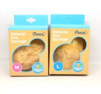 Pureen ฟองน้ำธรรมชาติ Natural Sea Sponge ไซส์ M L