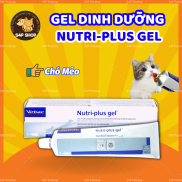 Nutri plus Gel dinh dưỡng cao cấp dành cho chó mèo - Gel dinh dưỡng Virbac