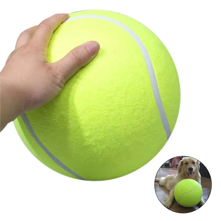 24cm Giant Tennis Ball Pet Chew Toy Inflatable Tennis Ball Signature