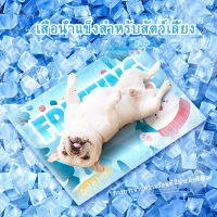 Doudog Pet Coolmat แผ่นเจลเย็นแมว ที่นอนเจลเย็น ที่นอนสัตว์เลี้ยง เบาะนอนเย็น ที่นอนสุนัข ที่นอนแมว แผ่นเจลเย็นสุนัข ที่นอนเจลเย็น แมว